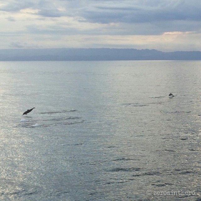 10314664_10152916031518228_8409456299202915280_n