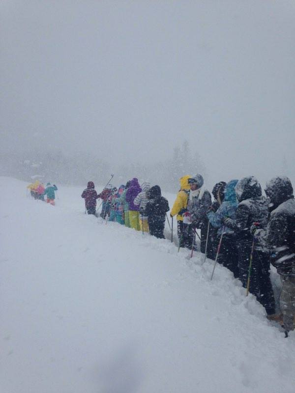 16344001_1387513704602395_1280038344_n