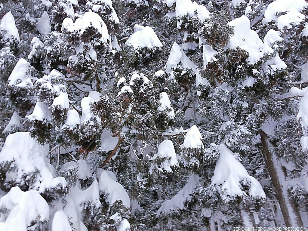 img_20170125_083122_wm