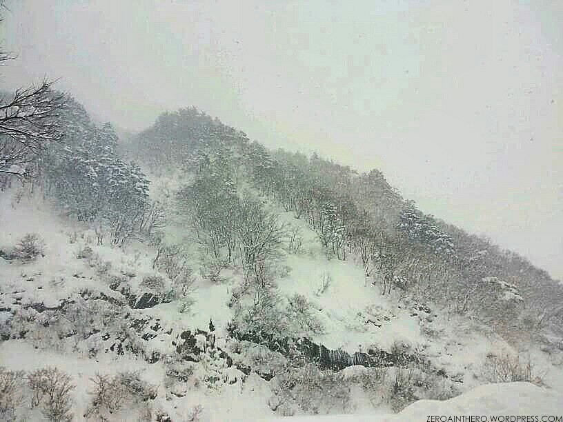 img_20170127_031920_wm