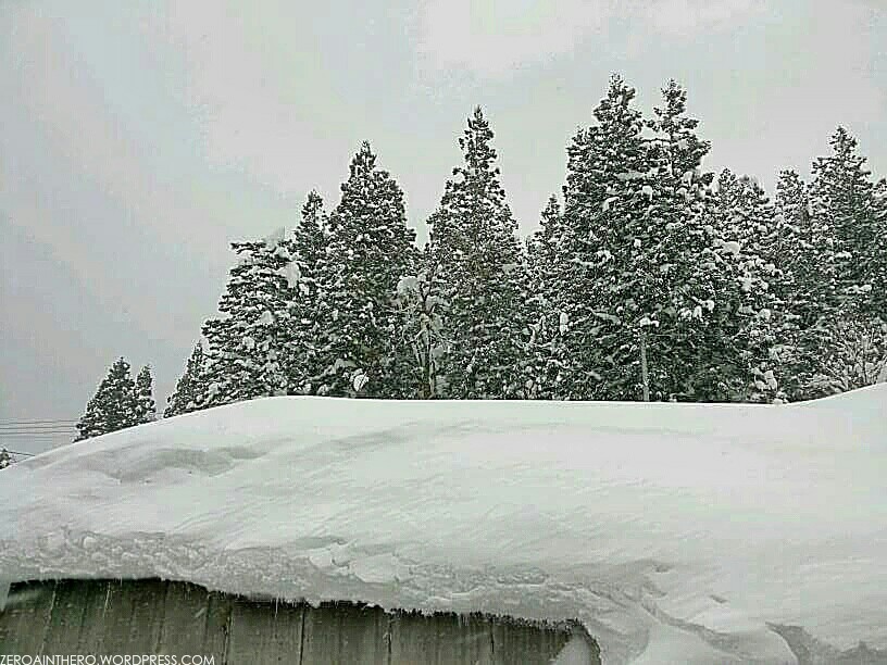 img_20170128_192129_wm