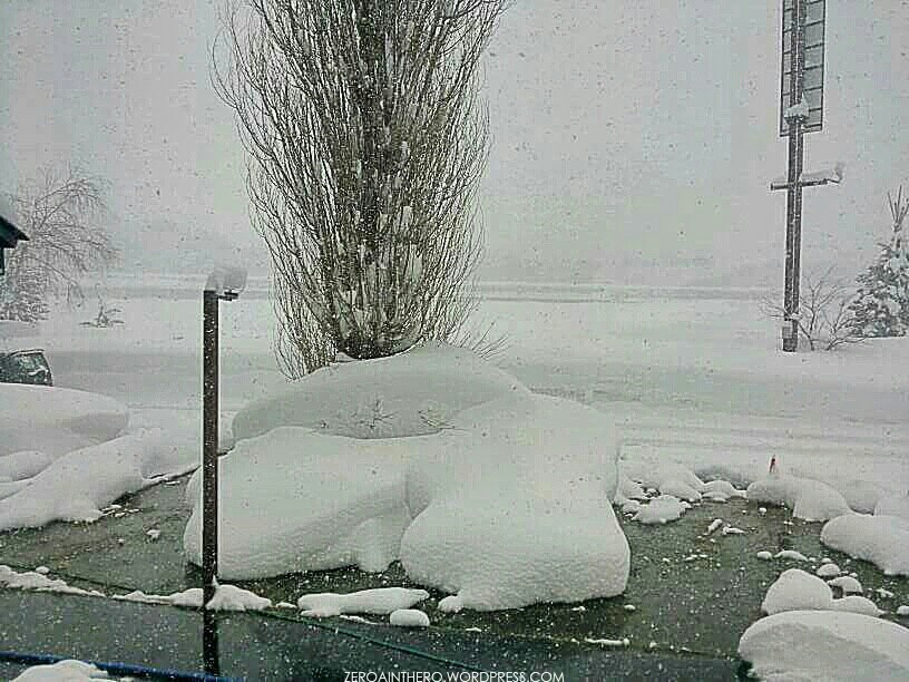 img_20170128_193316_wm