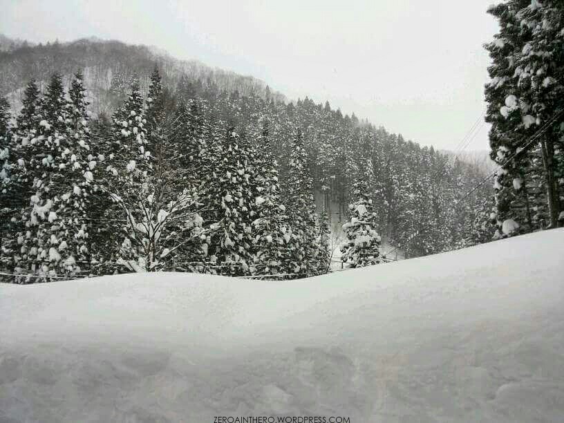 img_20170129_033450_wm