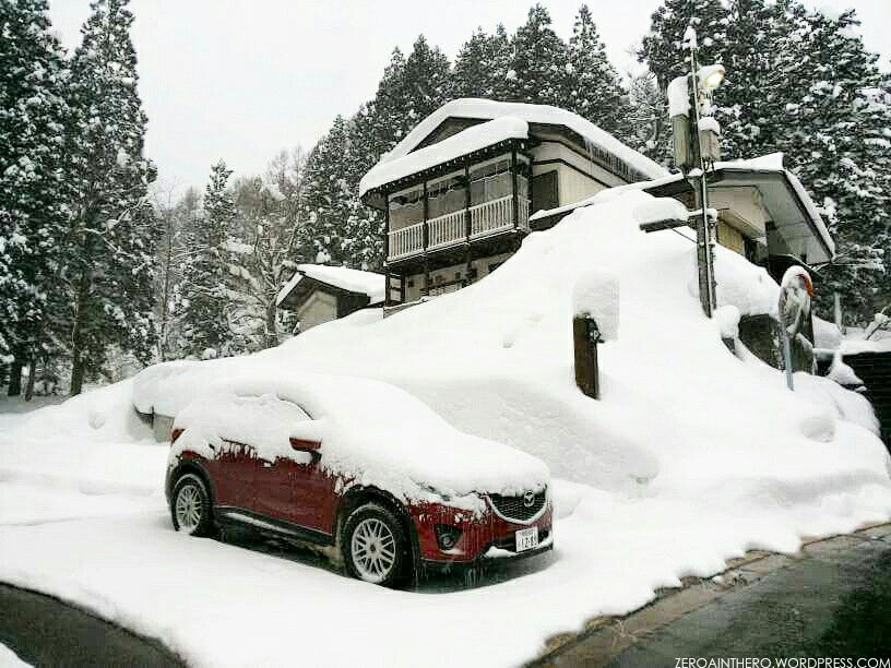 img_20170129_035646_wm